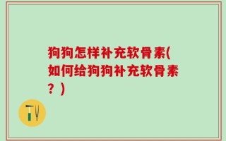 狗狗怎样补充软骨素(如何给狗狗补充软骨素？)