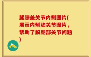 腿膝盖关节内侧图片(展示内侧膝关节图片，帮助了解腿部关节问题)