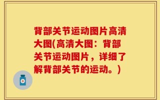 背部关节运动图片高清大图(高清大图：背部关节运动图片，详细了解背部关节的运动。)