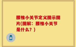 腰椎小关节定义图示图片(图解：腰椎小关节是什么？)
