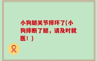 小狗腿关节摔坏了(小狗摔断了腿，请及时就医！)
