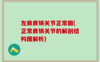 左肩肩锁关节正常图(正常肩锁关节的解剖结构图解析)