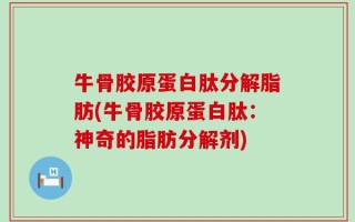 牛骨胶原蛋白肽分解脂肪(牛骨胶原蛋白肽：神奇的脂肪分解剂)