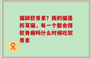 猫缺软骨素？我的猫是折耳猫，每一个都会得软骨病吗什么时候吃软骨素