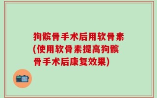 狗髌骨手术后用软骨素(使用软骨素提高狗髌骨手术后康复效果)
