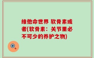 维他命世界 软骨素或者(软骨素：关节里必不可少的养护之物)