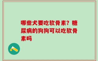 哪些犬要吃软骨素？糖尿病的狗狗可以吃软骨素吗