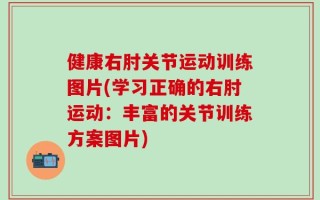 健康右肘关节运动训练图片(学习正确的右肘运动：丰富的关节训练方案图片)