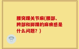腰突踝关节麻(腰部、胯部和脚踝的麻痹感是什么问题？)