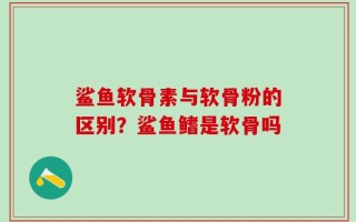 鲨鱼软骨素与软骨粉的区别？鲨鱼鳍是软骨吗