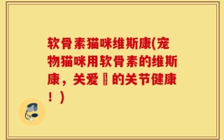 软骨素猫咪维斯康(宠物猫咪用软骨素的维斯康，关爱牠的关节健康！)