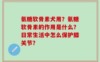 氨糖软骨素犬用？氨糖软骨素的作用是什么？日常生活中怎么保护膝关节？