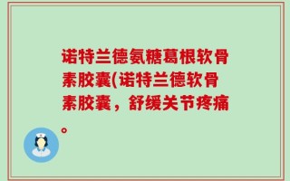 诺特兰德氨糖葛根软骨素胶囊(诺特兰德软骨素胶囊，舒缓关节疼痛。