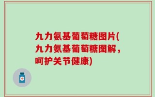九力氨基葡萄糖图片(九力氨基葡萄糖图解，呵护关节健康)