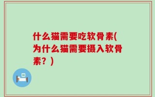 什么猫需要吃软骨素(为什么猫需要摄入软骨素？)
