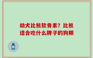 幼犬比熊软骨素？比熊适合吃什么牌子的狗粮