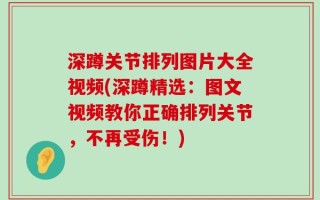 深蹲关节排列图片大全视频(深蹲精选：图文视频教你正确排列关节，不再受伤！)