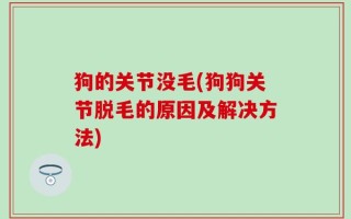 狗的关节没毛(狗狗关节脱毛的原因及解决方法)