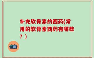 补充软骨素的西药(常用的软骨素西药有哪些？)