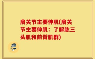 肩关节主要伸肌(肩关节主要伸肌：了解肱三头肌和前臂肌群)