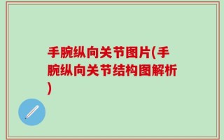手腕纵向关节图片(手腕纵向关节结构图解析)