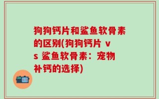狗狗钙片和鲨鱼软骨素的区别(狗狗钙片 vs 鲨鱼软骨素：宠物补钙的选择)