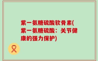 紫一氨糖硫酸软骨素(紫一氨糖硫酸：关节健康的强力保护)