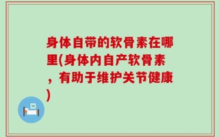 身体自带的软骨素在哪里(身体内自产软骨素，有助于维护关节健康)