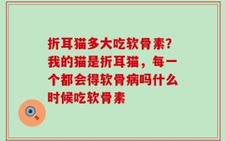折耳猫多大吃软骨素？我的猫是折耳猫，每一个都会得软骨病吗什么时候吃软骨素