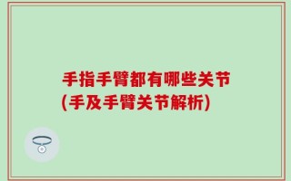 手指手臂都有哪些关节(手及手臂关节解析)