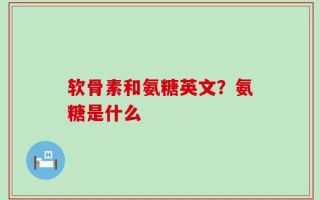 软骨素和氨糖英文？氨糖是什么