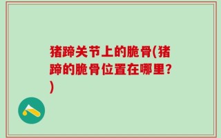 猪蹄关节上的脆骨(猪蹄的脆骨位置在哪里？)