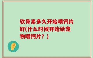 软骨素多久开始喂钙片好(什么时候开始给宠物喂钙片？)