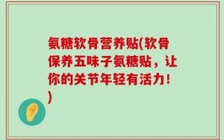 氨糖软骨营养贴(软骨保养五味子氨糖贴，让你的关节年轻有活力！)
