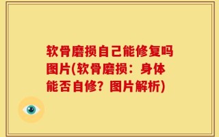 软骨磨损自己能修复吗图片(软骨磨损：身体能否自修？图片解析)