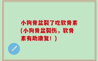 小狗骨盆裂了吃软骨素(小狗骨盆裂伤，软骨素有助康复！)
