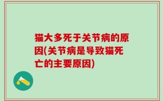 猫大多死于关节病的原因(关节病是导致猫死亡的主要原因)
