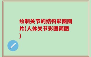 绘制关节的结构彩图图片(人体关节彩图简图)