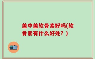盖中盖软骨素好吗(软骨素有什么好处？)