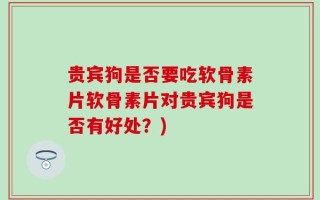 贵宾狗是否要吃软骨素片软骨素片对贵宾狗是否有好处？)
