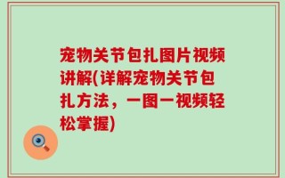 宠物关节包扎图片视频讲解(详解宠物关节包扎方法，一图一视频轻松掌握)