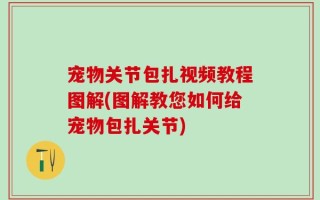 宠物关节包扎视频教程图解(图解教您如何给宠物包扎关节)