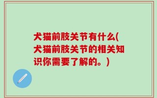 犬猫前肢关节有什么(犬猫前肢关节的相关知识你需要了解的。)