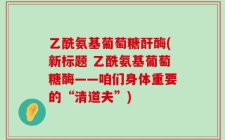 乙酰氨基葡萄糖酐酶(新标题 乙酰氨基葡萄糖酶——咱们身体重要的“清道夫”)