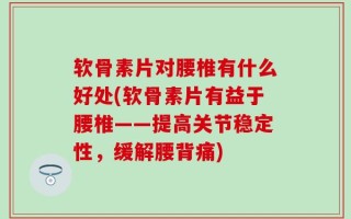 软骨素片对腰椎有什么好处(软骨素片有益于腰椎——提高关节稳定性，缓解腰背痛)