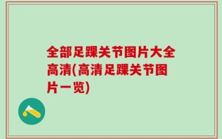 全部足踝关节图片大全高清(高清足踝关节图片一览)