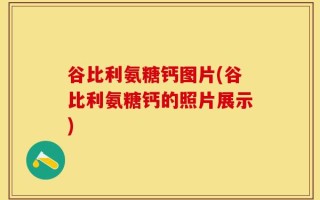 谷比利氨糖钙图片(谷比利氨糖钙的照片展示)