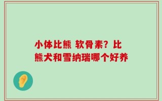 小体比熊 软骨素？比熊犬和雪纳瑞哪个好养