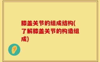 膝盖关节的组成结构(了解膝盖关节的构造组成)