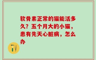 软骨素正常的猫能活多久？五个月大的小猫，患有先天心脏病，怎么办